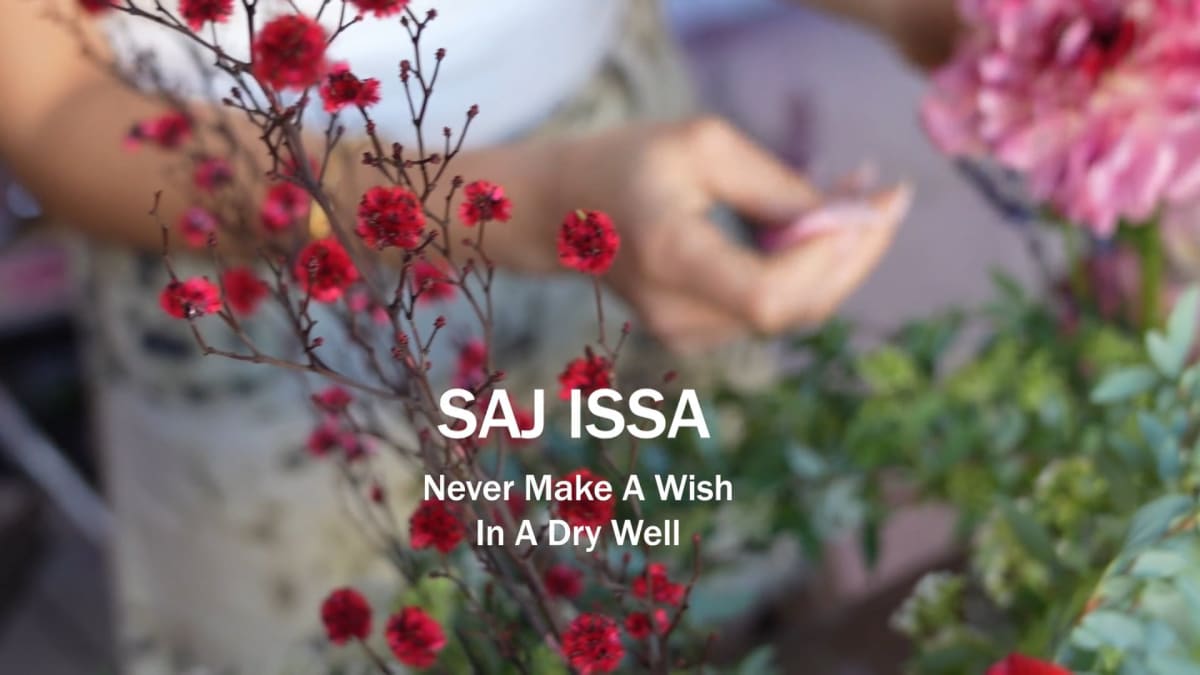 Saj Issa | Never Make a Wish in a Dry Well