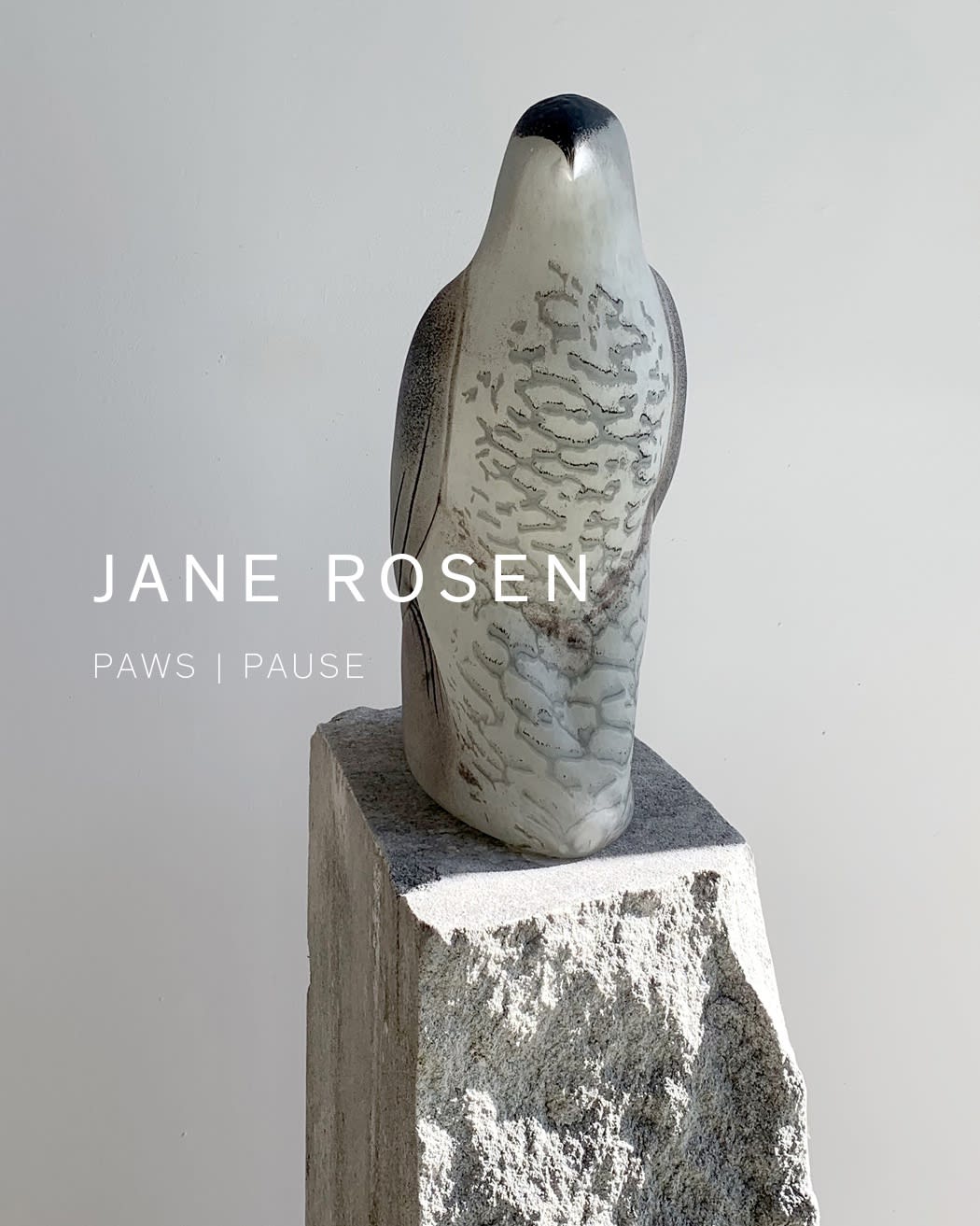 Jane Rosen