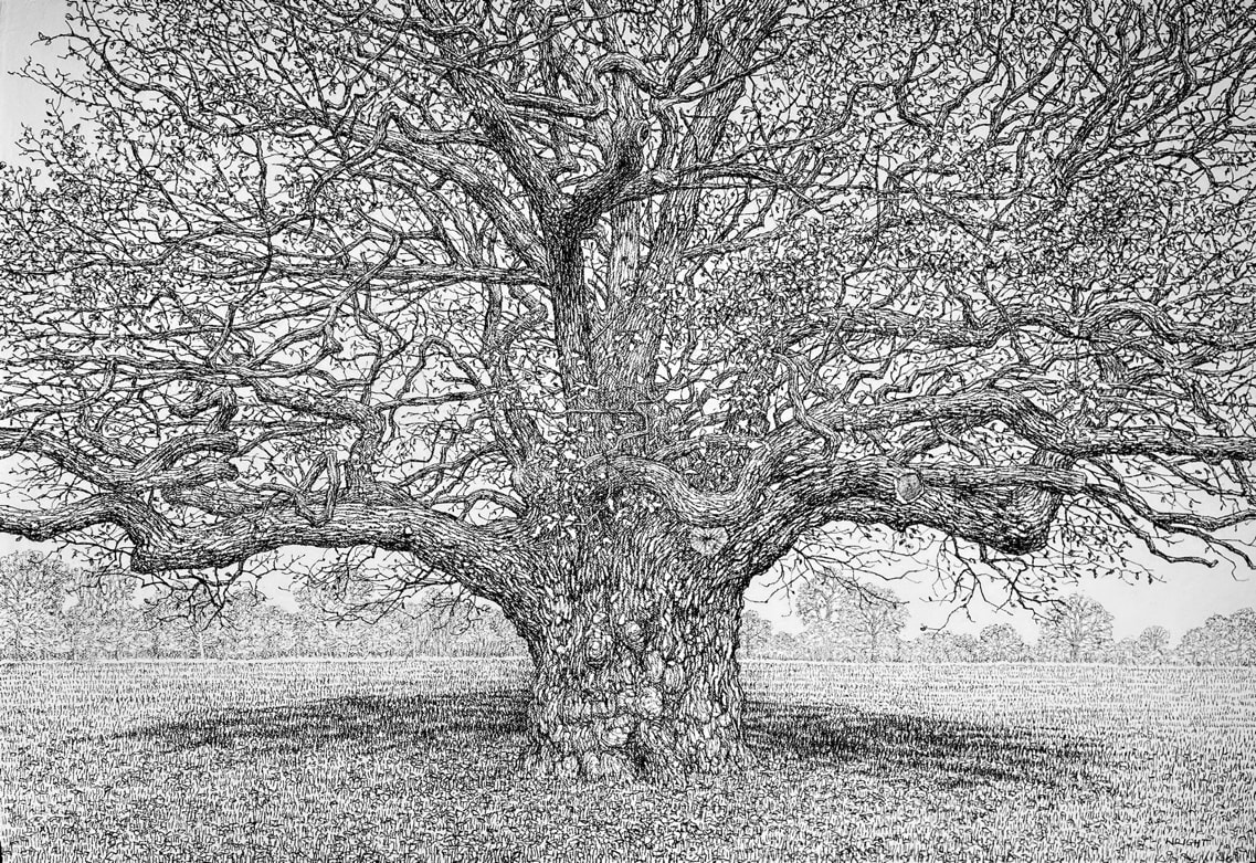 Padstow Autumn Exhibition