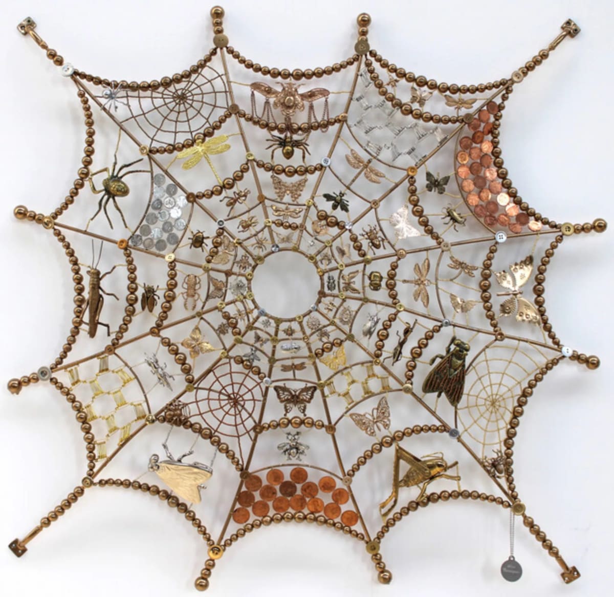 Ann Carrington zoropsidae spider web