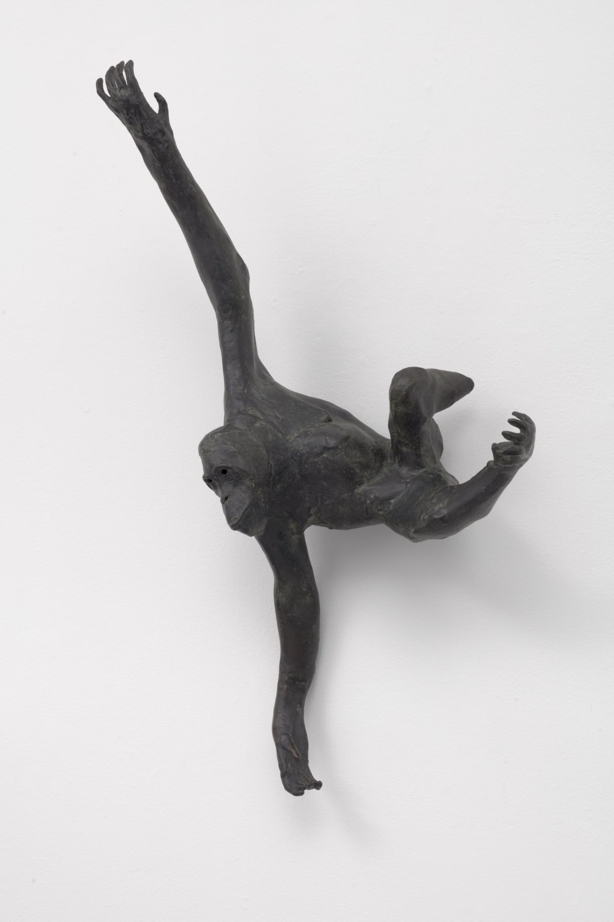 a bronze monkey