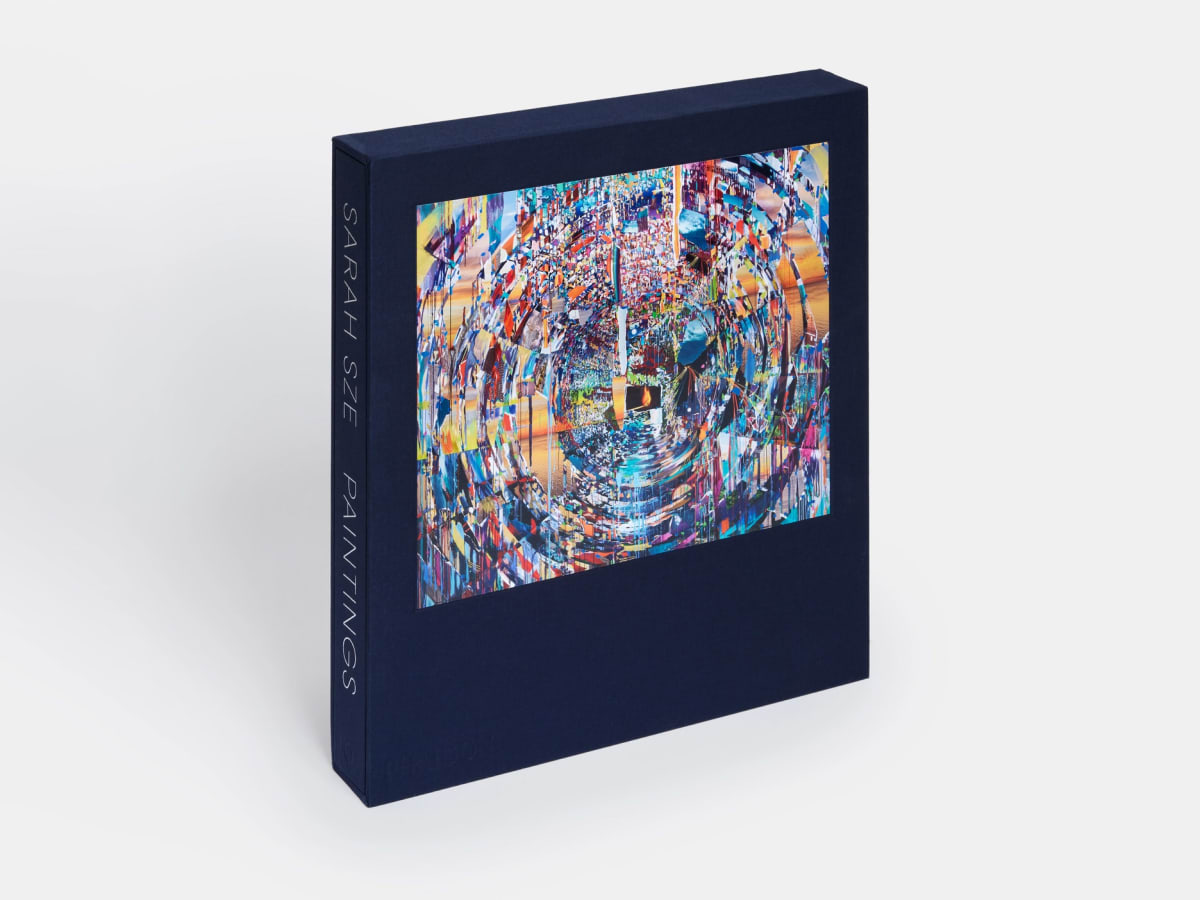 Sarah Sze: Paintings