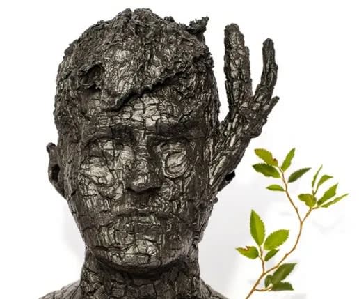 Tris McCall reviews James Prosek's 'At Work' exhibit at Morris Museum