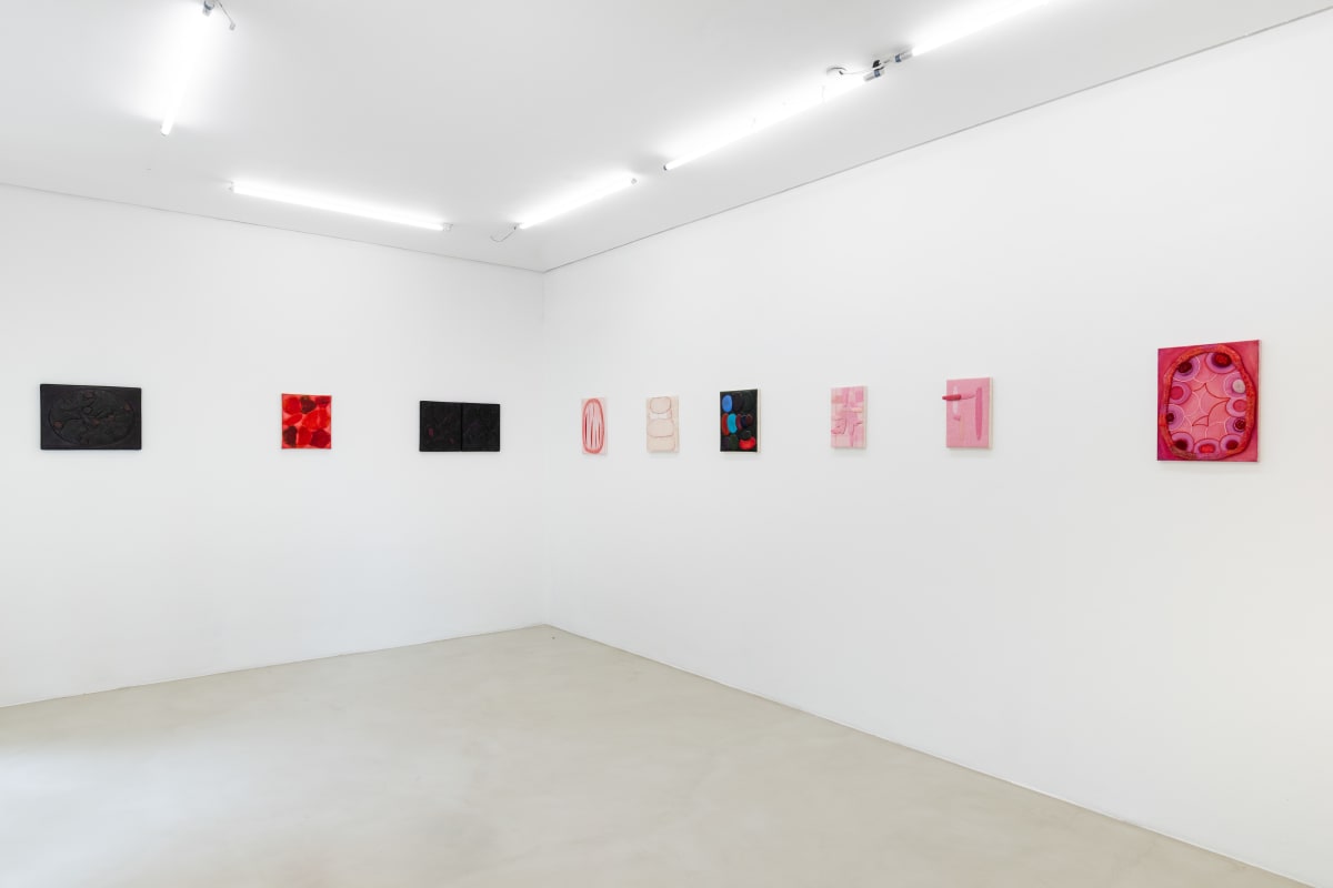 Cuidado com a Pintura Célio Braga