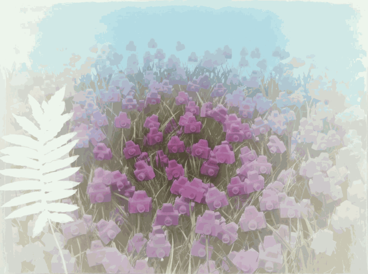 André Feliciano – O Ateliê Fotográfico