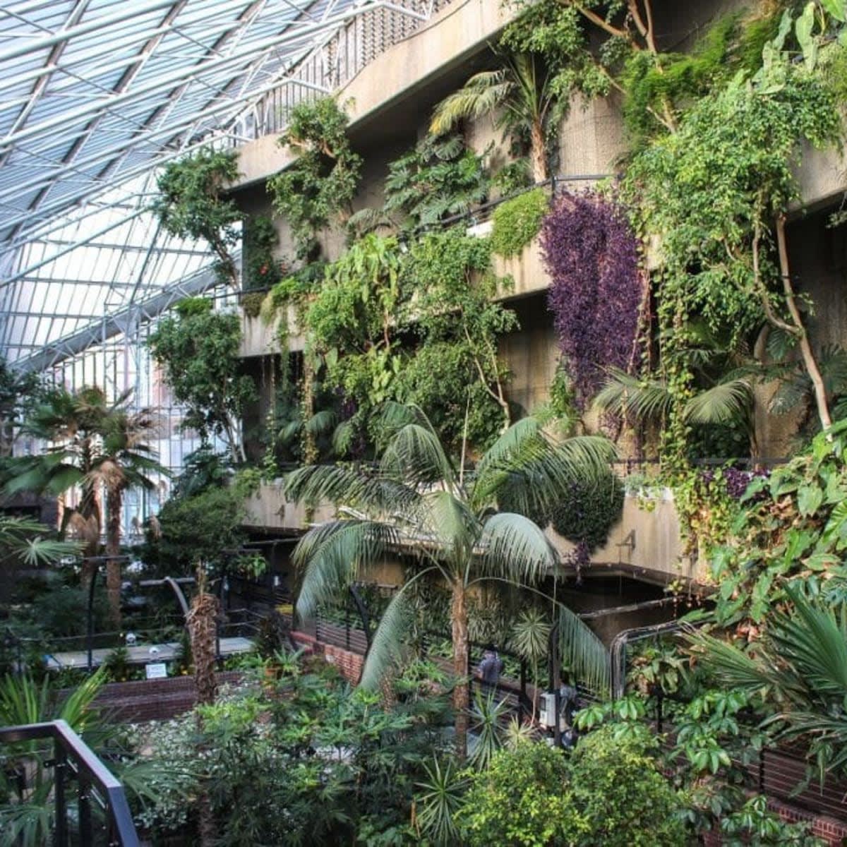 The Barbican Conservatory, London