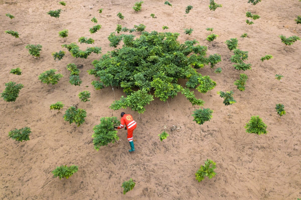 Image credit: Axel Fassio / CIFOR. CC BY-NC-ND 2.0.