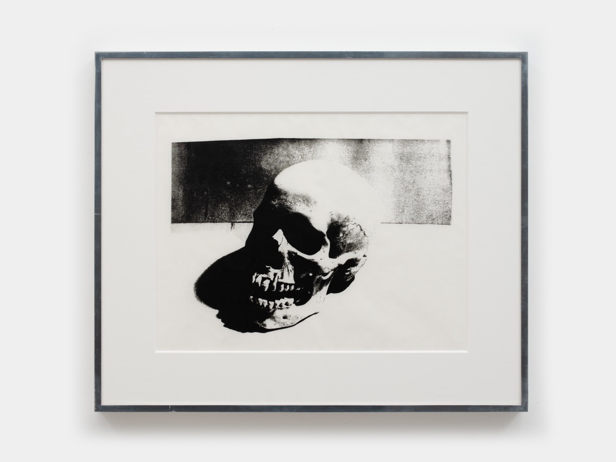 Andy Warhol: Late Paintings and Related Works, 1984–1986