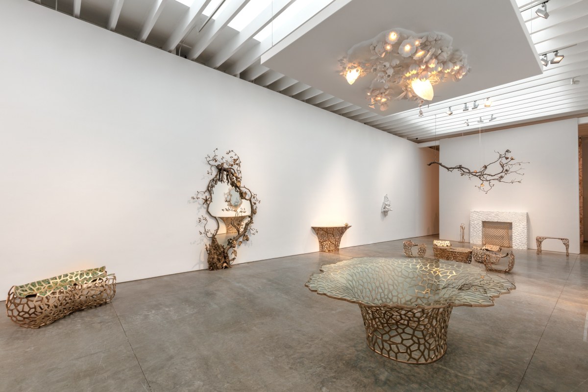 David Wiseman: Plants, Minerals, and Animals