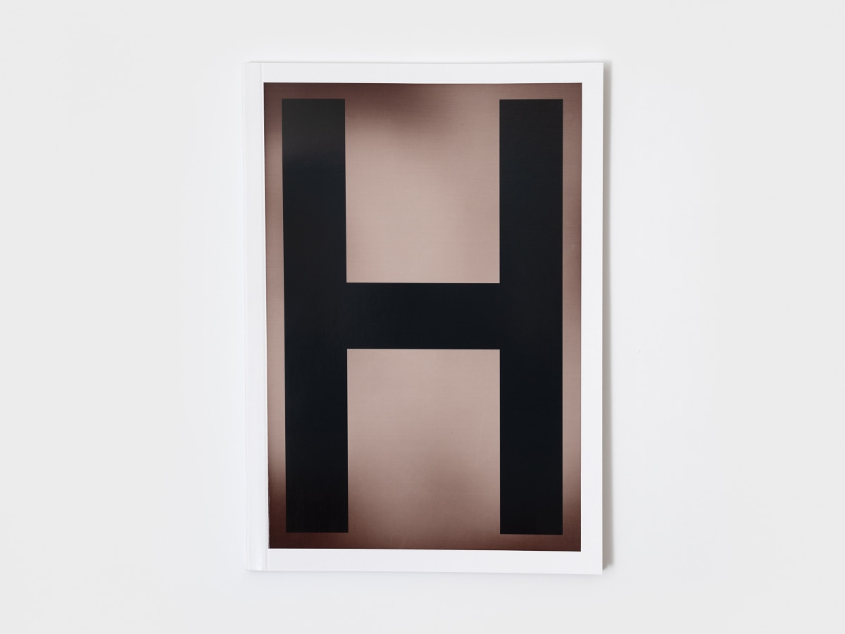 Lyn Liu: H-Dropping