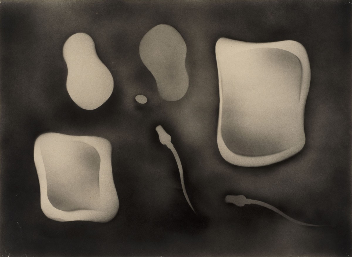 <span class="title">Metamorphic Study<span class="title_comma">, </span></span><span class="year">1933</span>