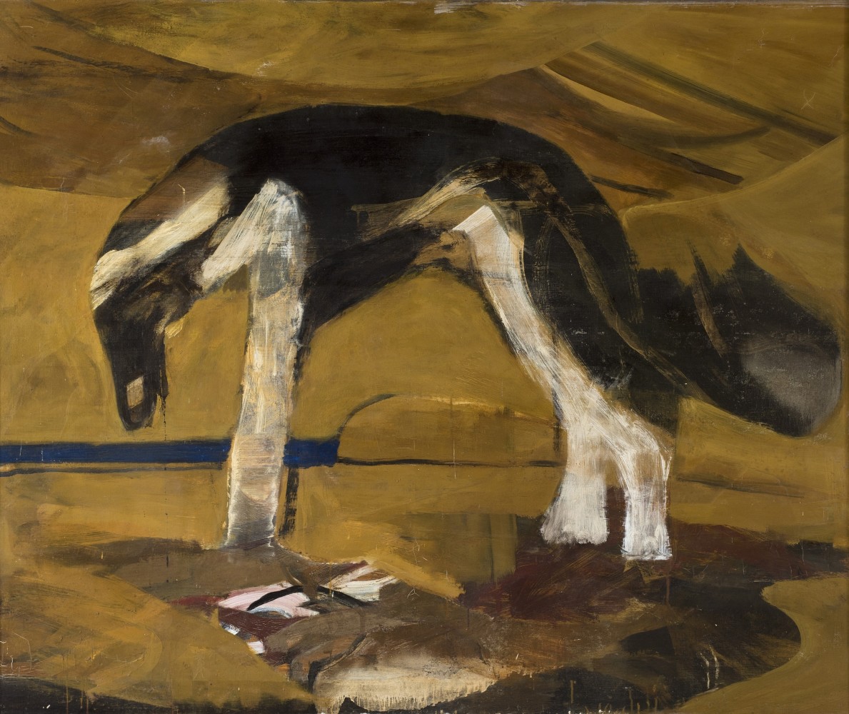 <span class="title">Dog Dankoff<span class="title_comma">, </span></span><span class="year">1969</span>