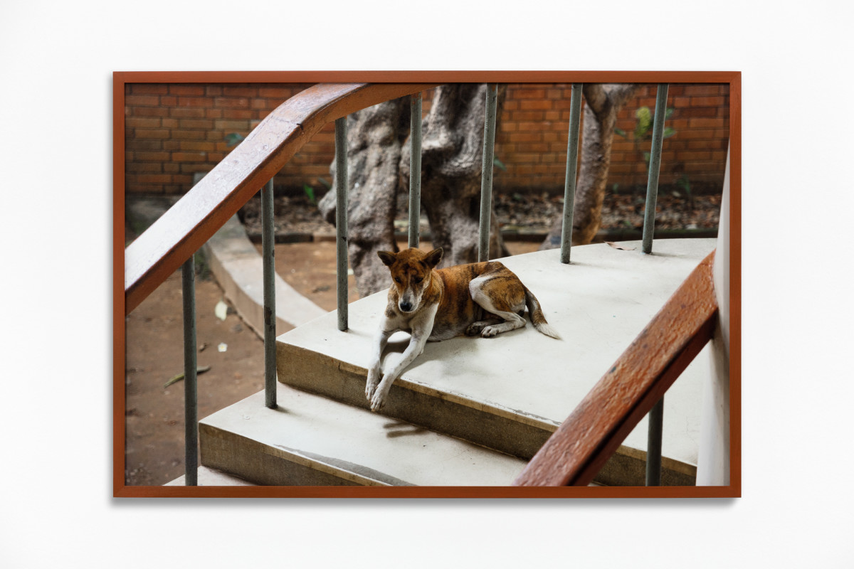 Daniel Steegmann Mangrané Fog Dog (Lady at Stairs), 2019-2020 Giclée print 50 x 75 cm (19 3/4 x 29 1/2 in) (unframed) 51,8 x 76,8 x 3,5 cm (20 x 29 7/8 x 1 3/8 in) (framed) Edition of 5