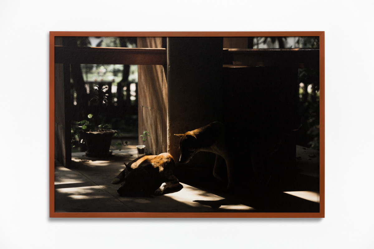 Daniel Steegmann Mangrané Fog Dog (Couple), 2019-2020 Giclée print 50 x 75 cm (19 3/4 x 29 1/2 in) (unframed) 51,8 x 76,8 x 3,5 cm (20 x 29 7/8 x 1 3/8 in) (framed) Edition of 5