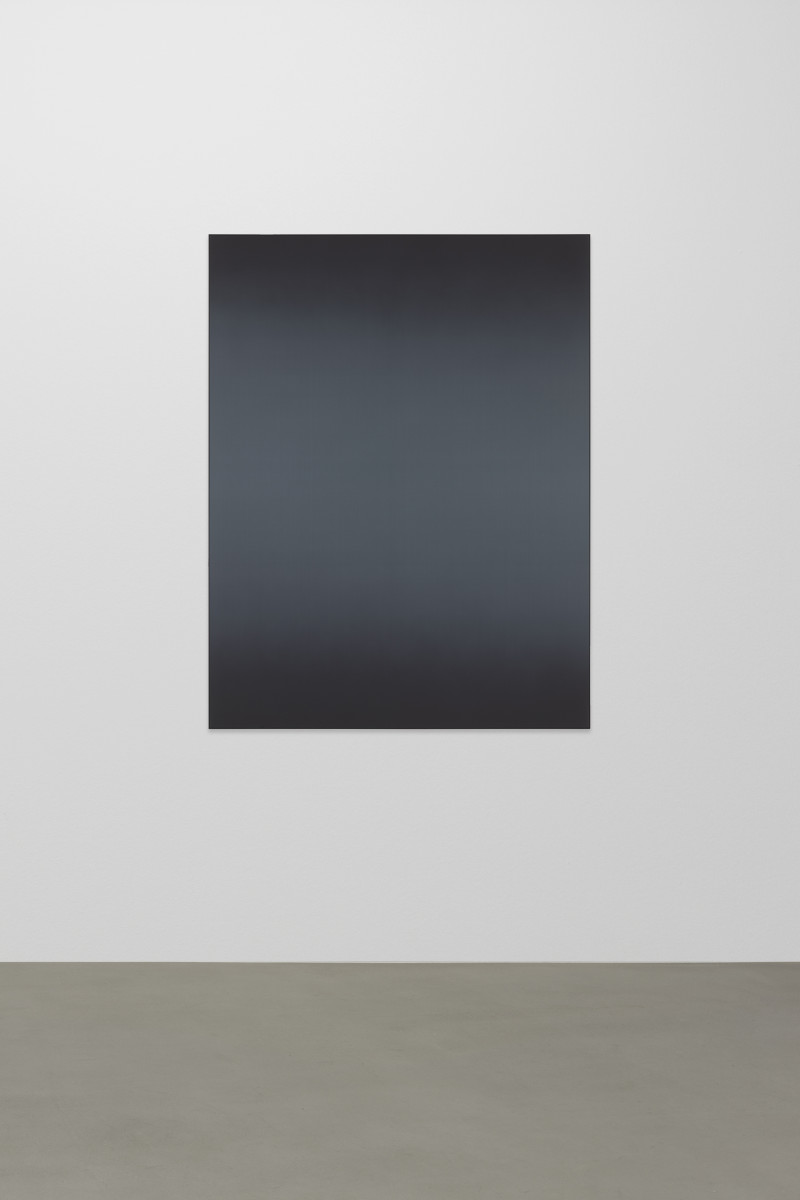 Matti Braun Untitled, 2019 Silk, dye, powder-coated aluminium 130 x 100 cm (51 1/8 x 39 3/8 in)