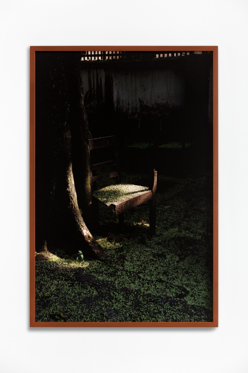 Daniel Steegmann Mangrané Fog Dog (Flowers on Chair), 2019-2020 Giclée print 75 x 50 cm (19 3/4 x 29 1/2 in) (unframed) 76,8 x 51,8 x 3,5 cm (30 1/4 x 20 3/8 x 1 3/8 in) (framed) Edition of 5