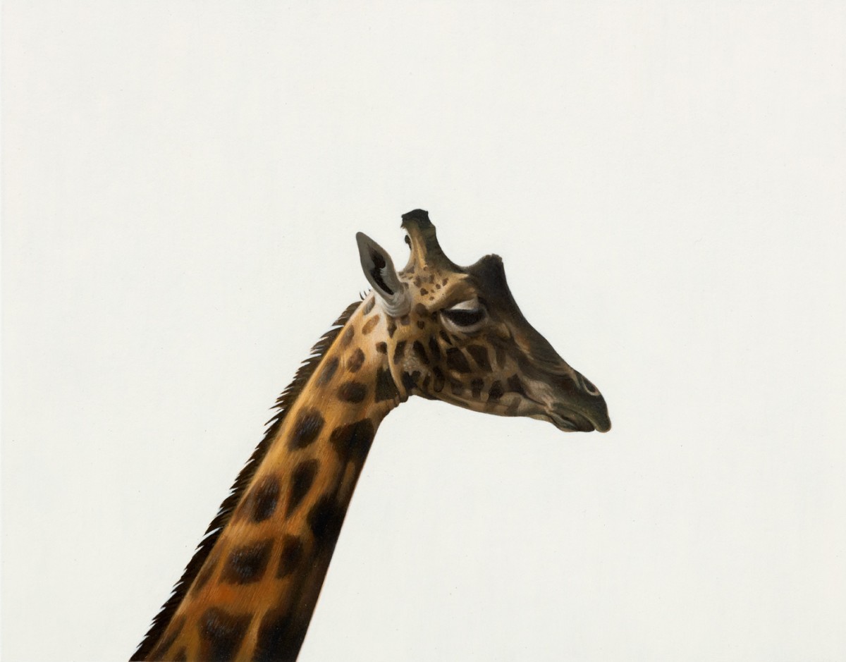 Detail: Andrew Grassie, Giraffe, 2020, tempera on paper on board, 14,8 x 18,8 cm (7 1/8 x 5 1/2 in) (image), 31,1 x 35,2 x 3 cm (13 3/4 x 12 1/4 x 1 1/8 in) (framed). Photo © Andrea Rossetti