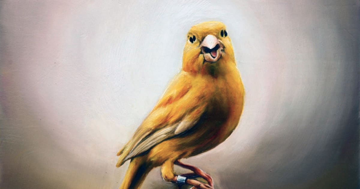 aeroplastics-leopold-rabus-