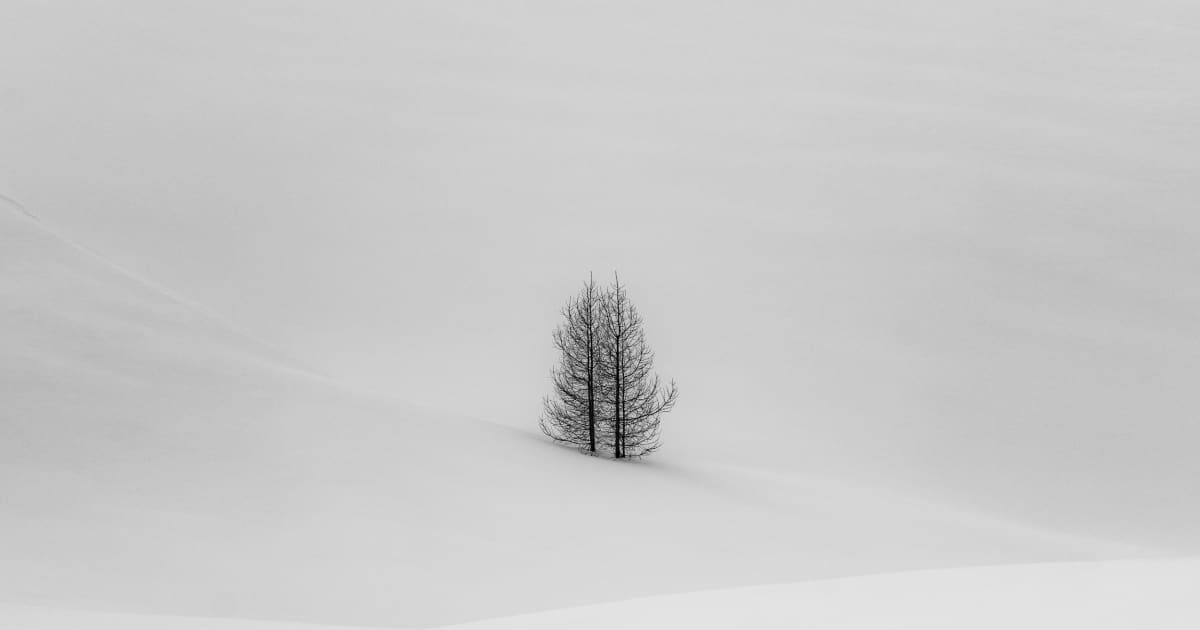 JEFFREY CONLEY | Winter — Nazraeli Press