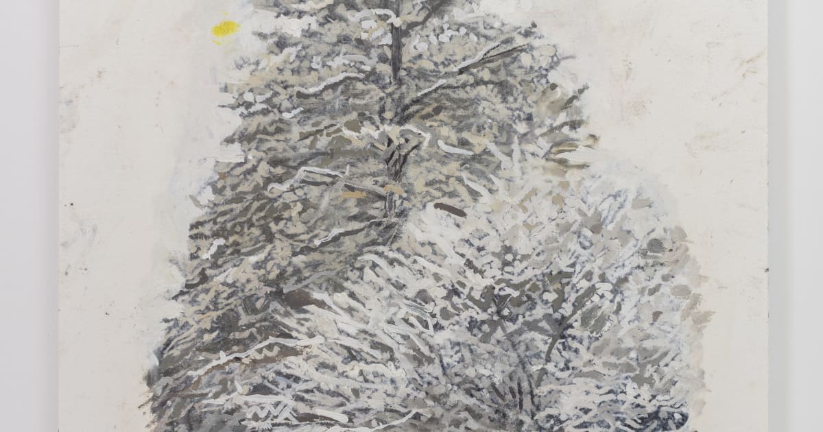 EILEEN HOGAN, Turkish Hazel, corylus colurha and Judas tree, cercis