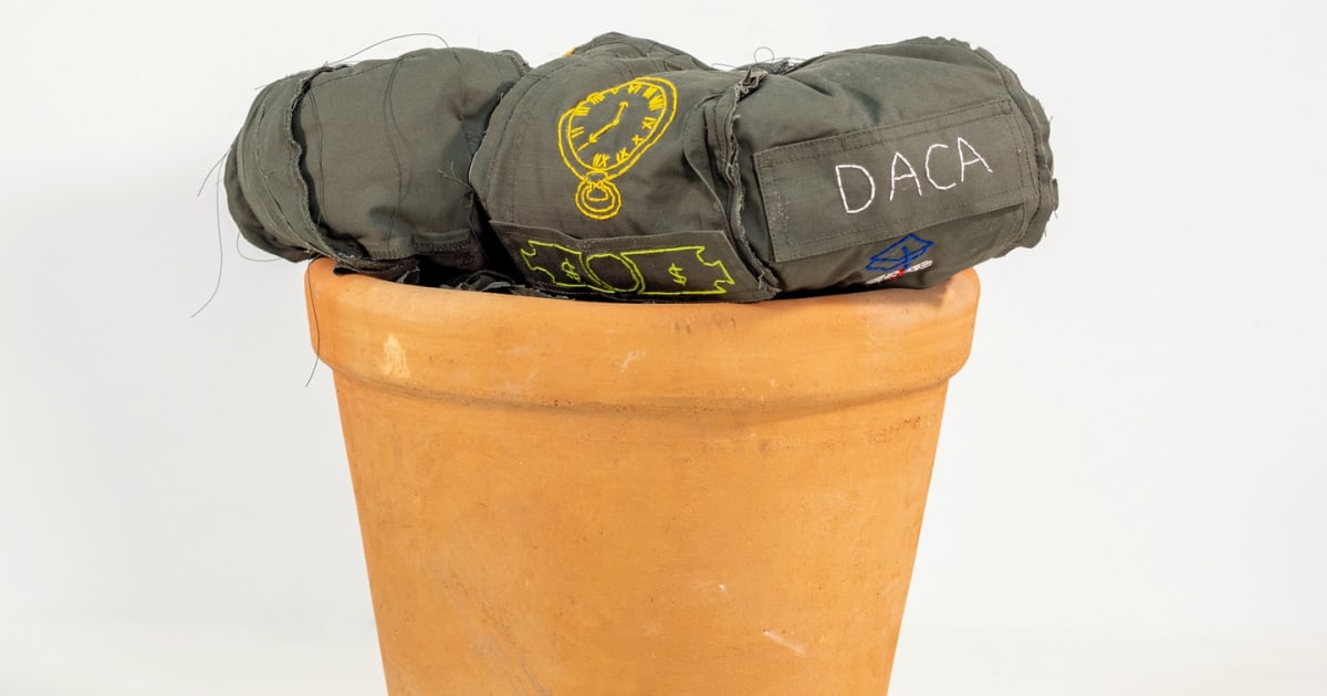 Margarita Cabrera Works David B. Smith Gallery