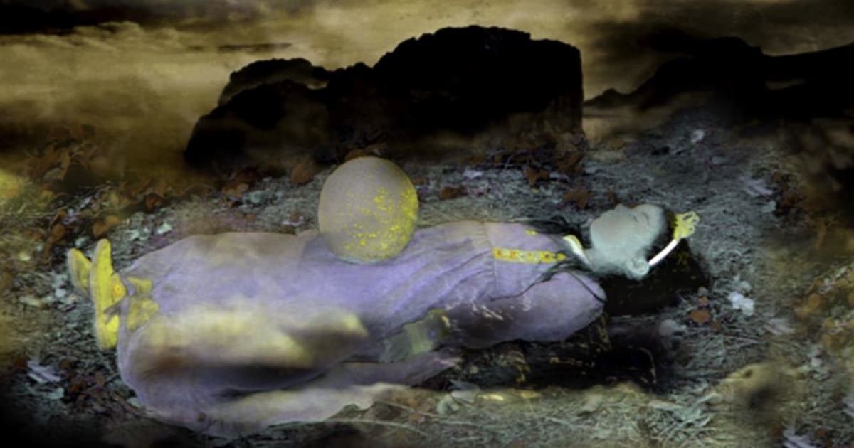 Annelies Strba | 28 Jan - 11 Mar 2011 | Frith Street Gallery