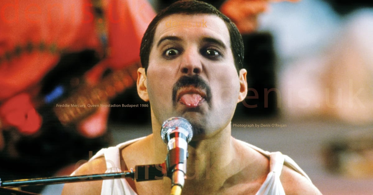 QUEEN Freddie Mercury Photo 1986 live in Budapest  rare collector's agfa 
