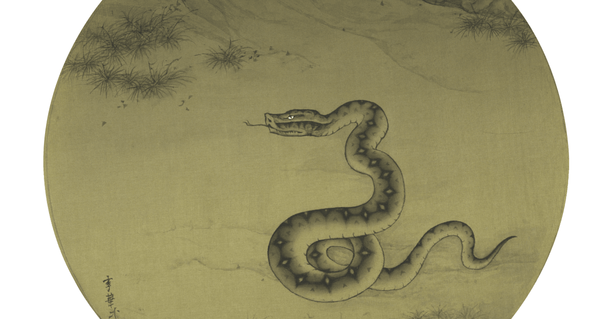 Li Huayi 李華弌 The Snake 巳蛇 11