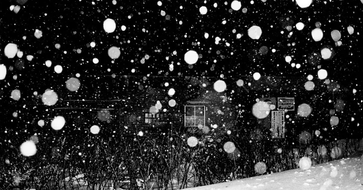 Daido Moriyama 森山大道, Hokkaido《北海道》, 1978 | 季丰轩