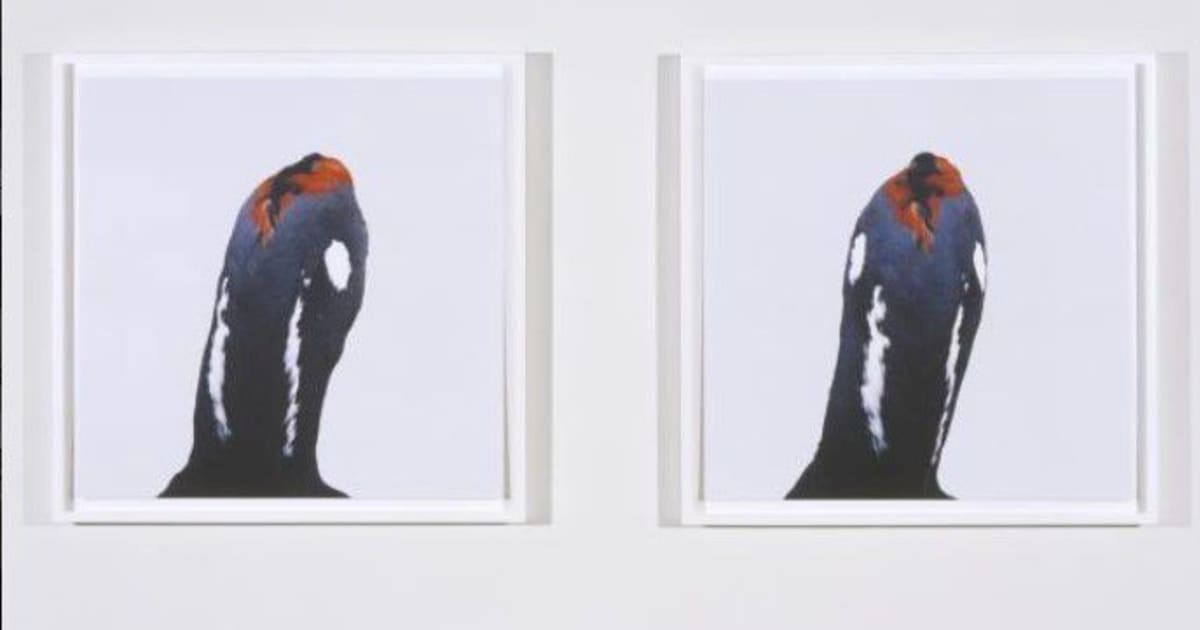 Roni Horn, Untitled, No. 2, 1999 | Marian Goodman