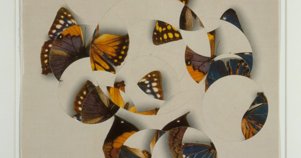 銅版画大作品　Butterfly　effect The Butterfly Effect (Moonspell album) - Wikipedia