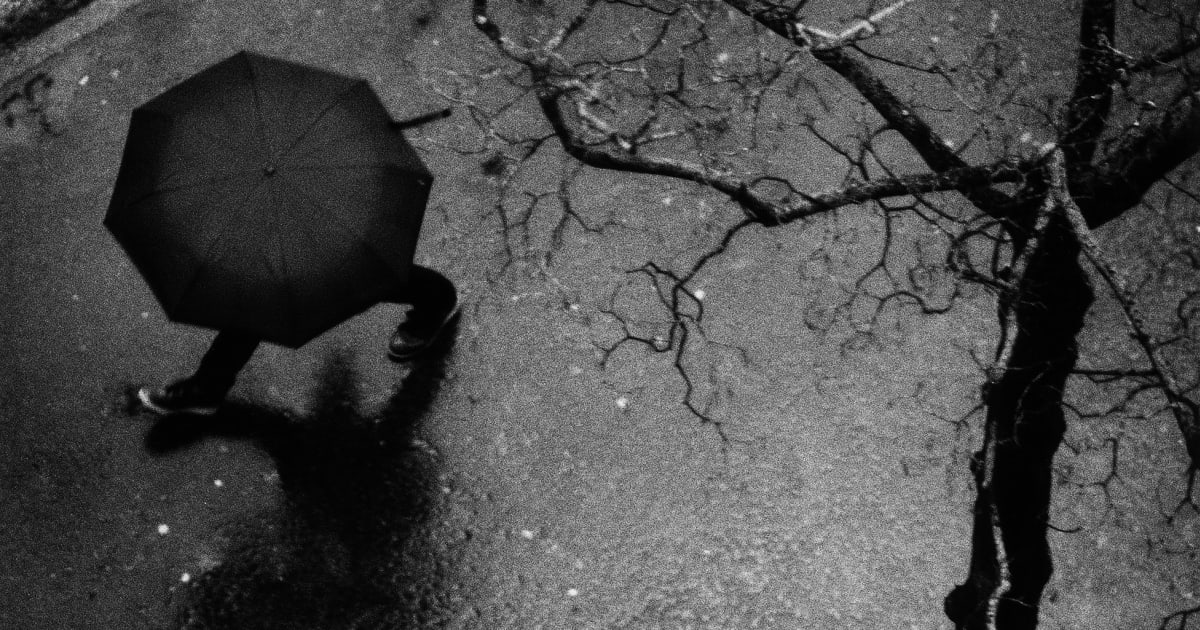 Kit Young Series The Hulett Collection