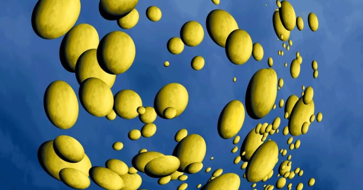 Gabriela Medina Graphic Design The House Of Arts