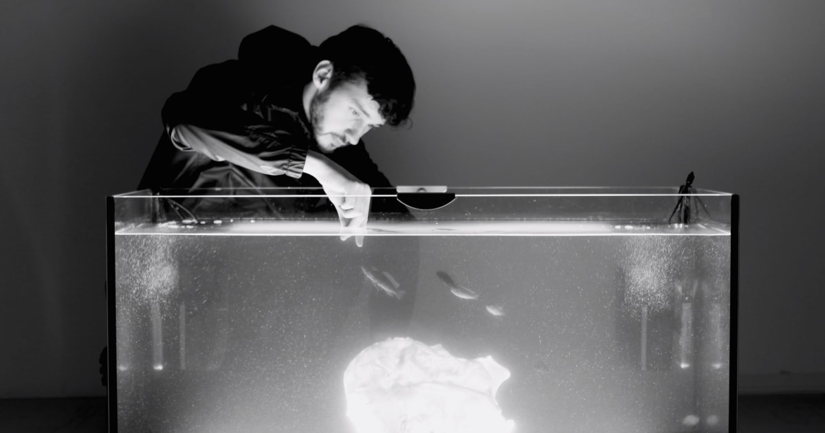 Ilya FedotovFedorov Biography Anna Nova Gallery