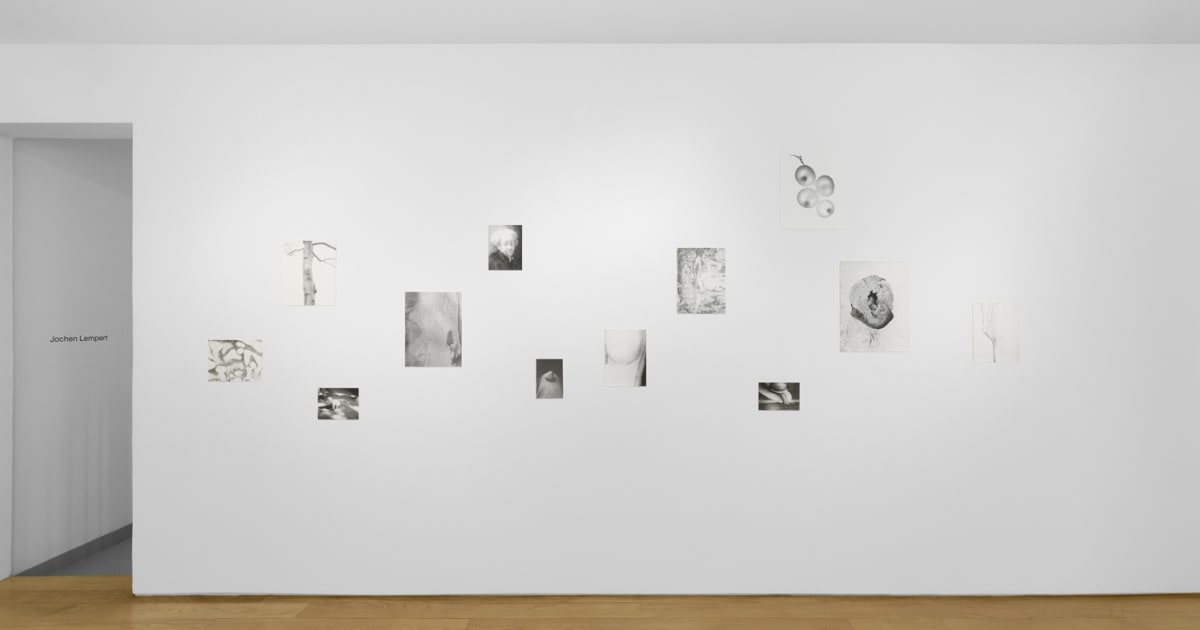 Jochen Lempert | May 6 - June 21, 2025 | Anton Kern Gallery
