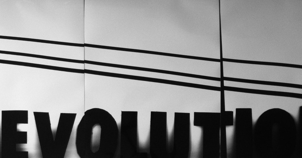 TAKASHI HOMMA | November 11, 2023 - January 11, 2024