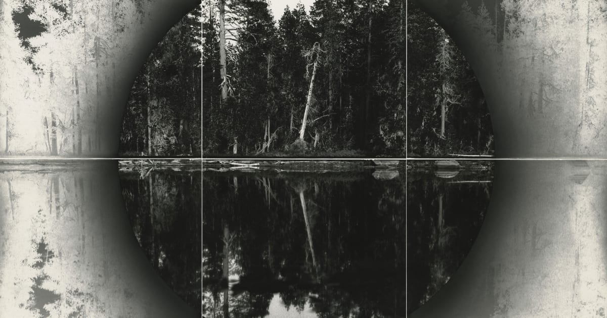 Chris McCaw : Reversals and Revolutions