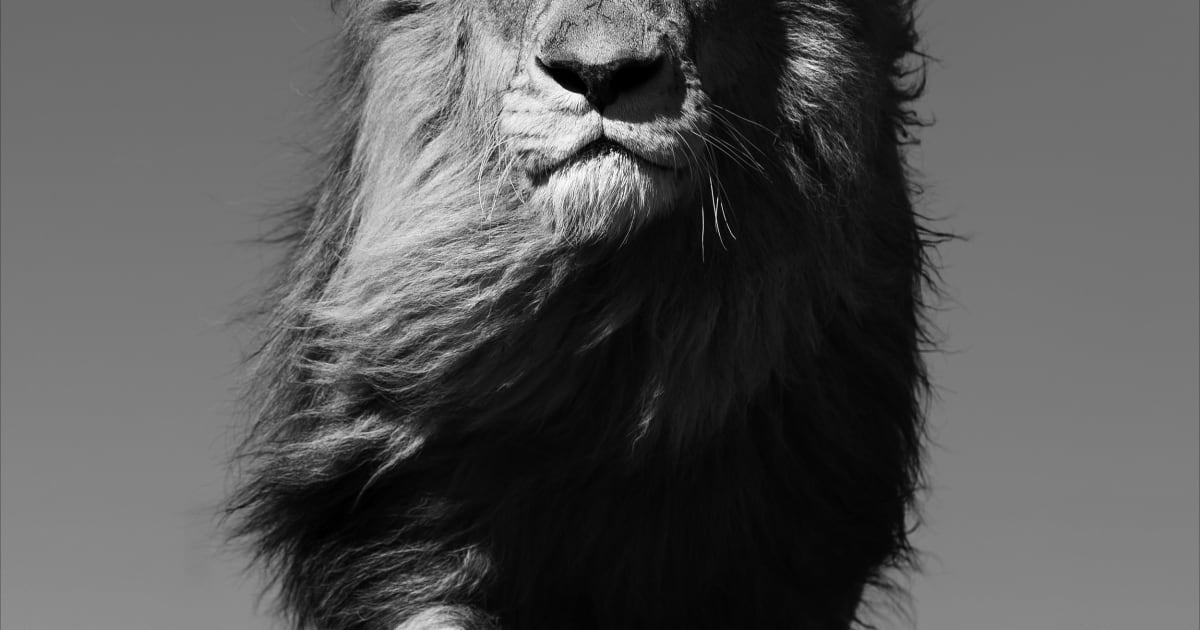 Lars Beusker - Works | Miart Gallery London