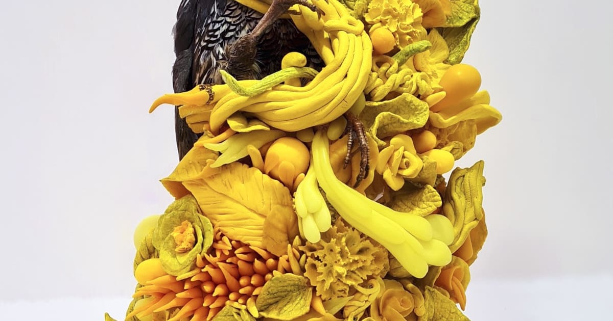 {Suite} Aotearoa Art Fair 2022 Stand C9 16 20 November 2022