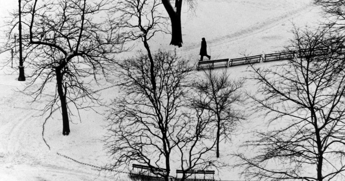 Works - André Kertész | Bruce Silverstein