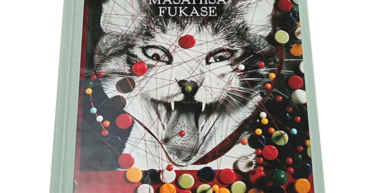 Publication: Masahisa Fukase - Masahisa Fukase | IBASHO