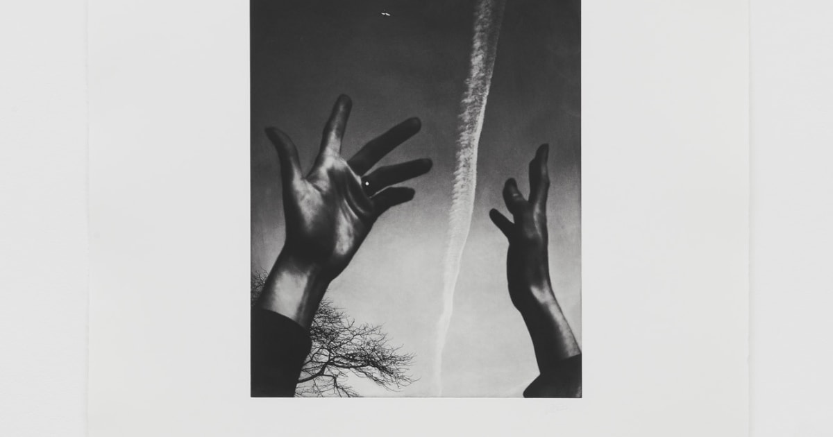 Jack Davison | Cob Gallery
