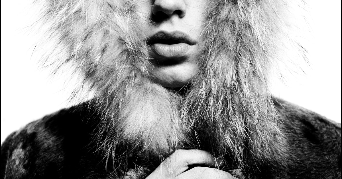 アート・デザイン・音楽 David Bailey IF WE SHADOWS Amazon | David Bailey: If We Shadows | Bailey, David