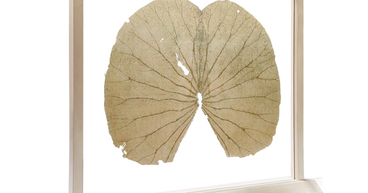 1998年発行美品Gabriel Orozcoアート新聞ポスターAgnès b. Gabriel Orozco - Overview | The Lapis Press