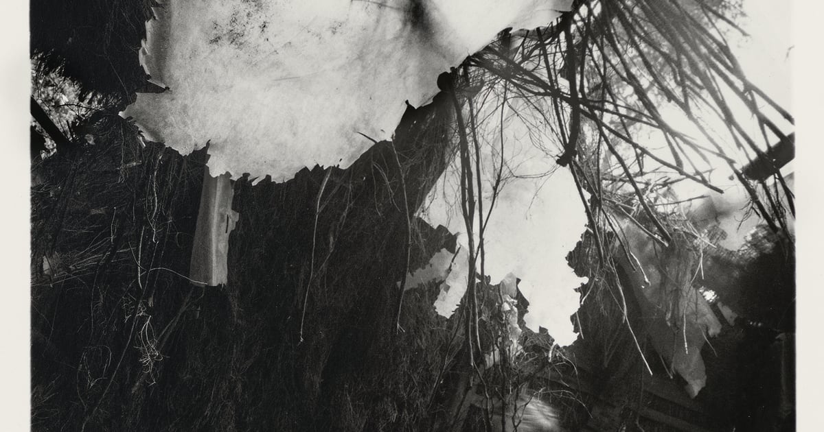 Francesca Woodman | Alternate Stories | Marian Goodman
