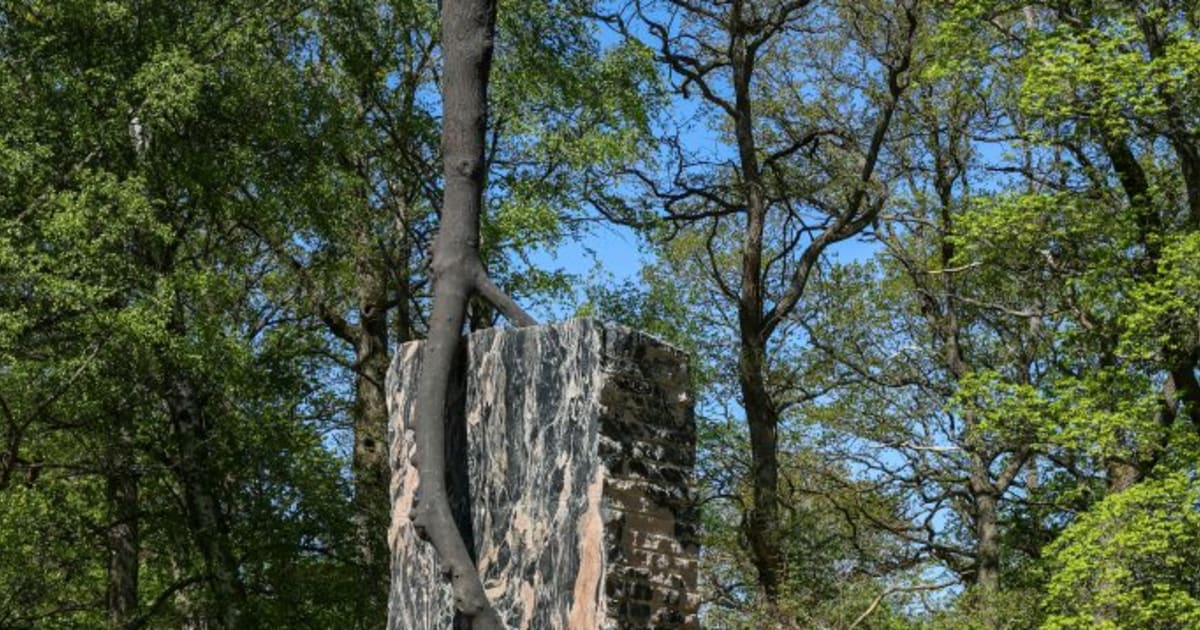 www.mariangoodman.com