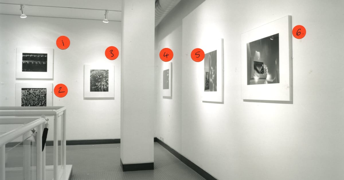 ANOUSHKA FISZ 25 February 1 April 1999 The Mayor Gallery
