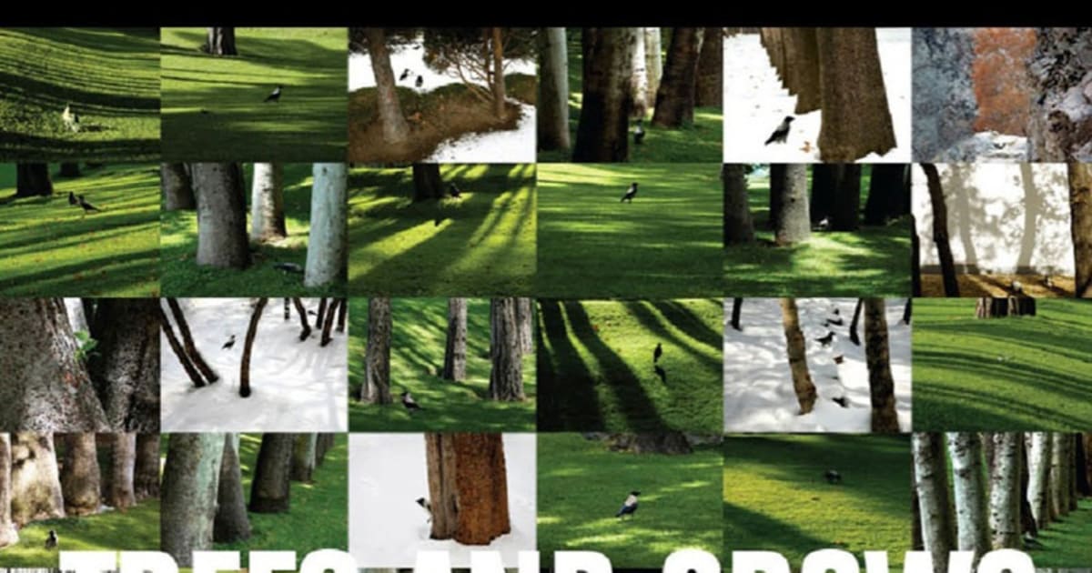 アート・デザイン・音楽 Abbas Kiarostami Images,Still and Moving Abbas Kiarostami: Image Maker | MoMA