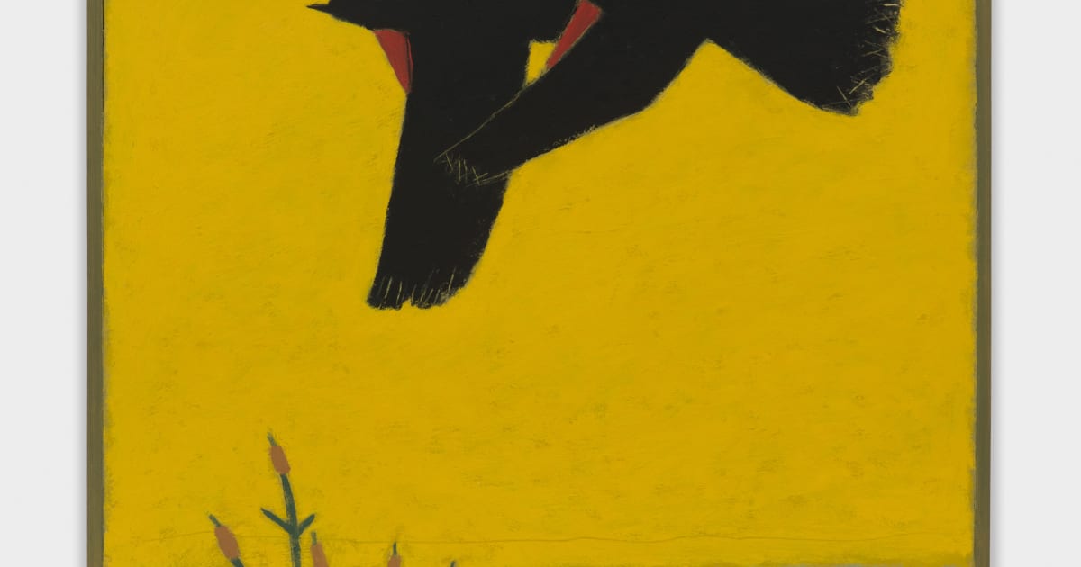 jjm_2023_redwingedblackbirdsin