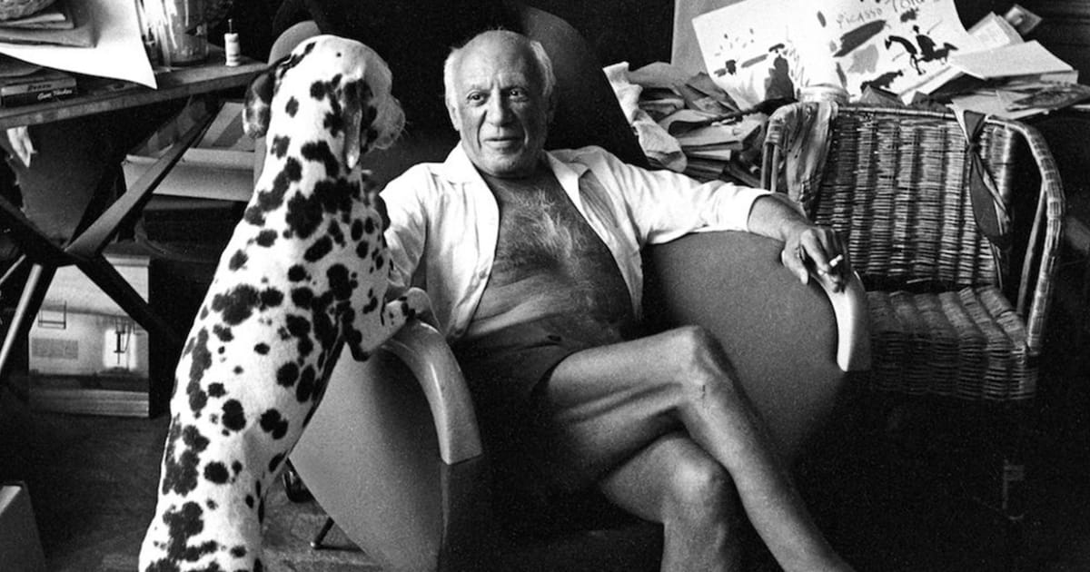 picasso dalmatian